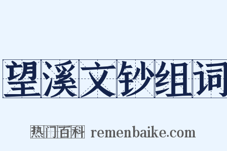 望溪文钞组词是什么意思的图片